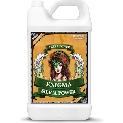 Terra Power Enigma Silica Power 250ml