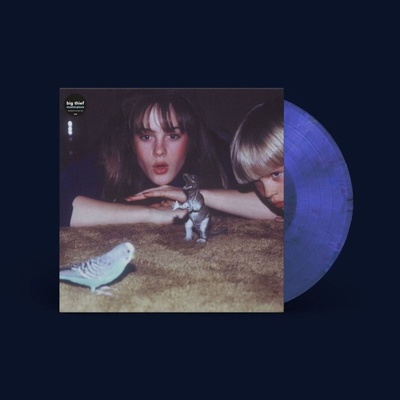 Big Thief - Masterpiece (Reissue) (Randomly Eco-mix Recycled Coloured) (LP) (0191400056206)