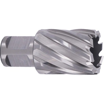 ABSE N-HS-W19-0270025