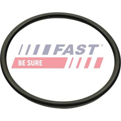 Těsnění, koleno sacího potrubí FAST FT49460