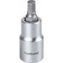 Fortum 4700610