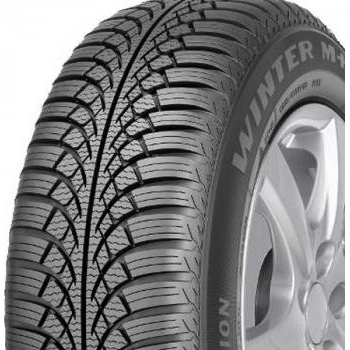 Voyager Winter 195/65 R15 91T
