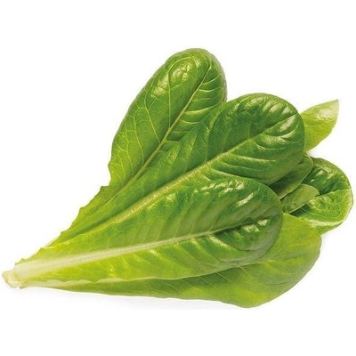 Click & Grow Семена Click and Grow маруля ромейн, 9 броя