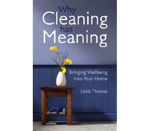 Why Cleaning Has Meaning
