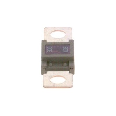 Pojistka BOSCH 1 987 531 007