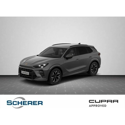 Cupra Terramar 1.5 eTSI DSG 110 kW