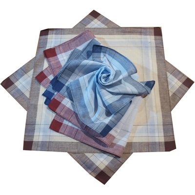 Etex Kapesníky pánské látkové 6ks