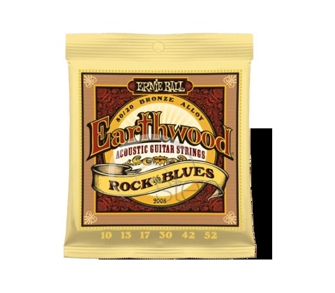 Ernie Ball 2008