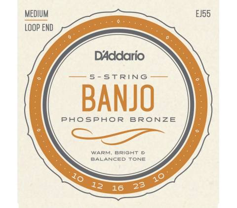D'Addario EJ55