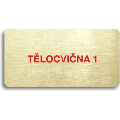 ACCEPT Piktogram TĚLOCVIČNA 1 - zlatá tabulka - barevný tisk bez rámečku