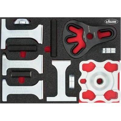 VIGOR V5549-1N