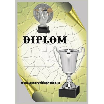 VIZINGR Šipky diplom A4 č.2