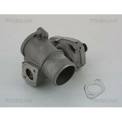 AGR-Ventil TRISCAN 8813 16101 (881316101)