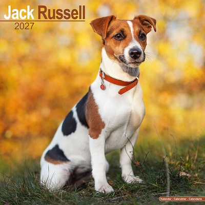 AVONSIDE Jack Russell teriér, 30 x 30 cm 2027