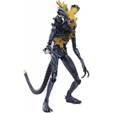 Hiya Toys Aliens Alien Warrior Headshot Previews Exclusive 11 cm