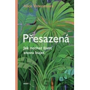 Přesazená