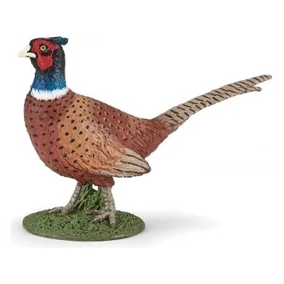 Papo - Фигурка за колекциониране и игра - Колхидски фазан (50263)