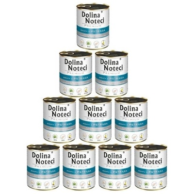 Dolina Noteci Premium pstruh 10 x 800 g