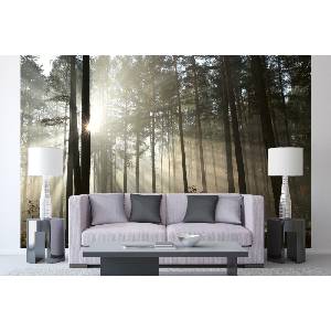 DIMEX ART Самозалепваща се флизелинова фототапета лъчи в есенна гора 375 x 250 см