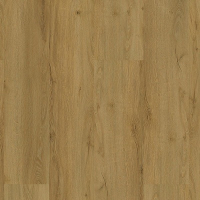 Floor Forever Authentic Oak Click 0,55 1020 Dub Královský 2,21 m²