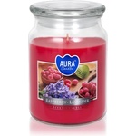 BISPOL Premium Line Raspberry -Lavender ароматна свещ 500 гр