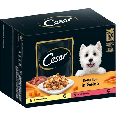 Cesar Adult Selektion kuřecí hovězí zelenina v želé 12 x 100 g