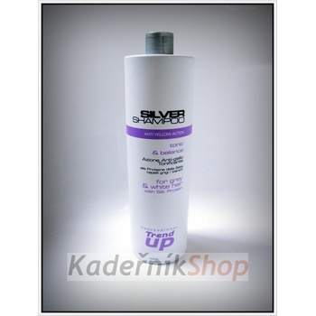 Trend Up Silver šampon na vlasy stříbrný 1000 ml