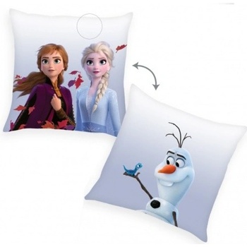 Herding Obojstranný vankúš Disney Frozen 2 40x40