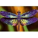 Interdruk Vážka 250 dielov