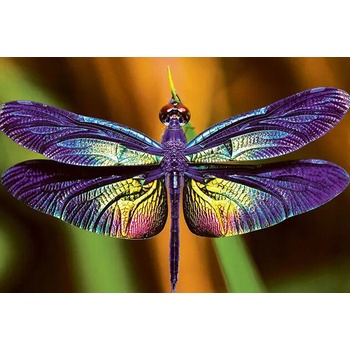 Interdruk Vážka 250 dielov