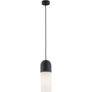 Argon 4213