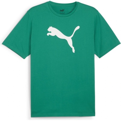 Puma teamRISE Logo Jersey Cotton 658705-05