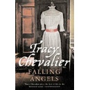 Falling Angels