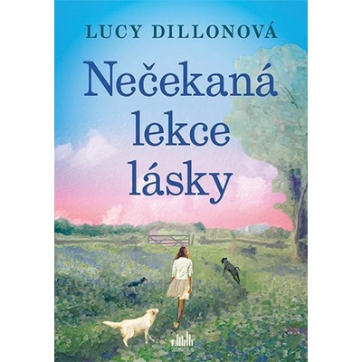 Nečekaná lekce lásky - Lucy Dillonová – Hledejceny.cz