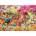 Ravensburger - Puzzle Book Club - 1 000 piese
