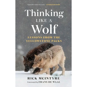 Thinking Like a Wolf | Rick McIntyre (ISBN: 9781778401251)