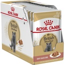 Royal Canin Cat British Shorthair 12 x 85 g