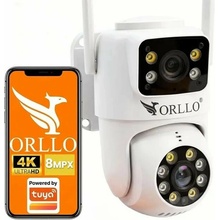 Orllo TZ19