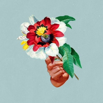 Maribou State - Kingdoms In Colour (LP) (5054429134179)