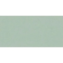 EBS Gioia 60 x 120 cm salvia matný 1,44m²
