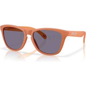 Oakley Frogskins OO9013 9013M1 55 (OO9013 9013M1 55) Слънчеви очила