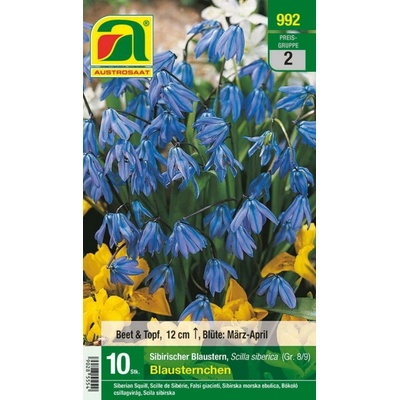 AUSTROSAAT Scilovka sibírska "Blausternchen" - 10 cibúľ
