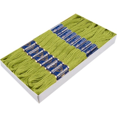 Stoklasa Příze vyšívací Mouline Niťárna Balení: 24 ks, Varianta: 6122 Lime Punch 6122 Lime Punch
