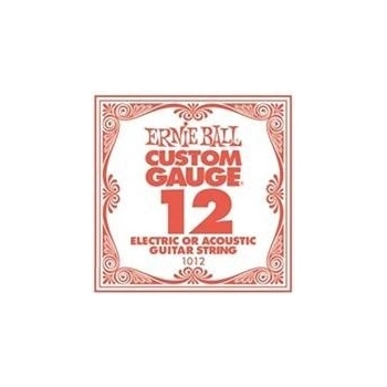 ERNIE BALL 1012