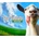 Goat Simulator: Remastered