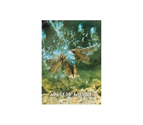Zoologie