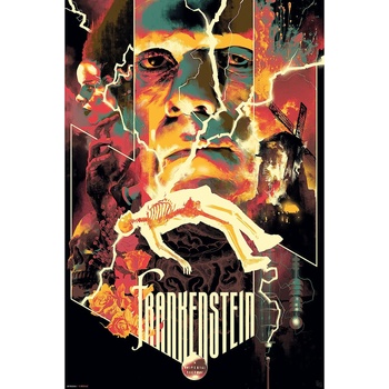 GB eye Макси плакат GB eye Horror: Universal Monsters - Frankenstein (GBYDCO192)