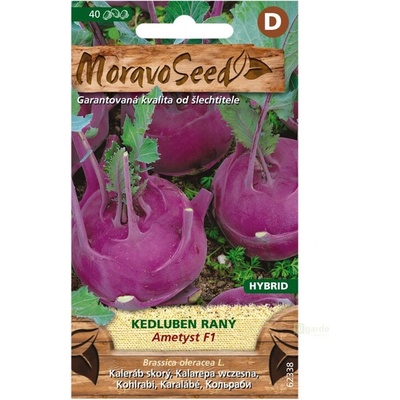 Kedluben ranný modrý AMETYST F1 MoravoSeed
