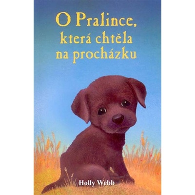 O pralince, která chtěla na procházku