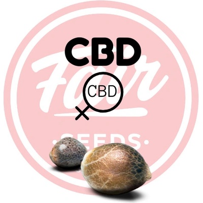 FAIR SEEDS CBD 300:1 semienka neobsahujú THC 10 ks